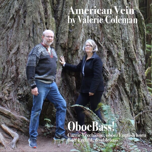 Cover art for American Vein